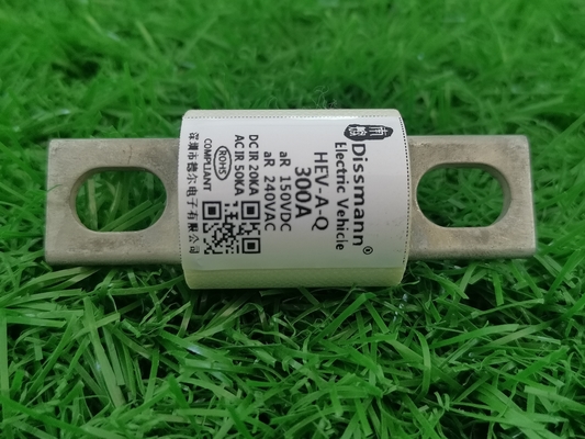 EV/HEV 250 Volt Auto DC Elektrische Voertuig Zekering Voor Laadstation 300Amp