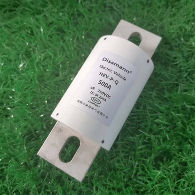 750VOLT standaard de Zekeringen700amp Hoge Geschatte Stroom van de Bladauto