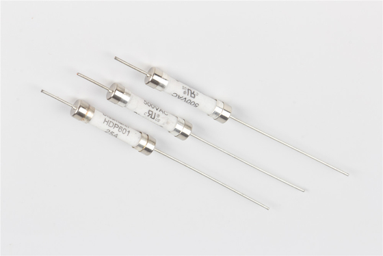 EV het laden van Ceramische Buiszekering, IEC60269-Normen 40a Mini Fuse