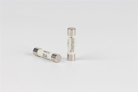 Zekering van de telecommunicatie de Ceramische Buis, de Zekering snel van de Acteren 100 Ampère 250v