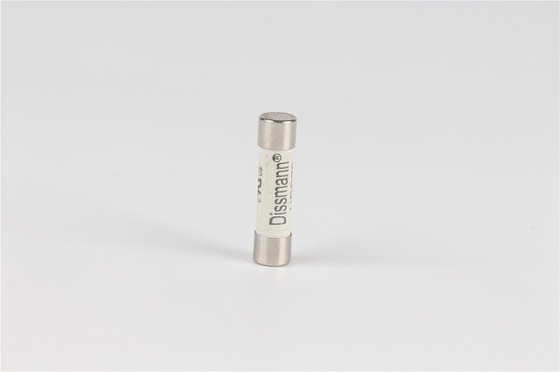 Zekering van de telecommunicatie de Ceramische Buis, de Zekering snel van de Acteren 100 Ampère 250v