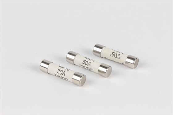 Zekering van de telecommunicatie de Ceramische Buis, de Zekering snel van de Acteren 100 Ampère 250v