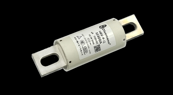 Hoge Brekende Capaciteit 400amp 750volt van Electricle de Ceramische Automobielzekeringen