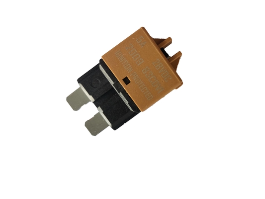 Norm van de het Bladzekering 5A SAE J1284 van de laag Voltage Resettable Stroomonderbreker