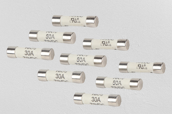 Zekering van de telecommunicatie de Ceramische Buis, de Zekering snel van de Acteren 100 Ampère 250v