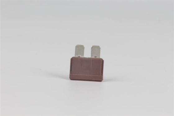 80v 40 Ampèrestop in Zekering Snel Acterenpbt Materieel Laag Voltage