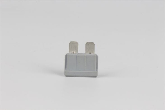 80v 40 Ampèrestop in Zekering Snel Acterenpbt Materieel Laag Voltage