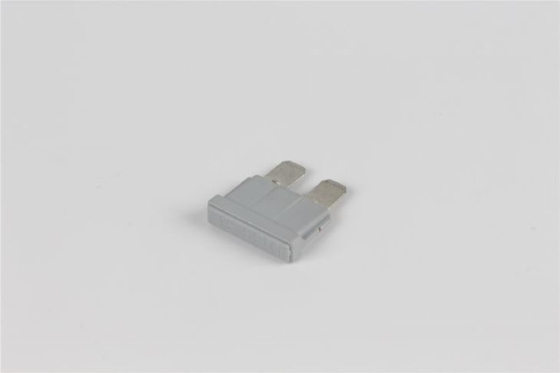 80v 40 Ampèrestop in Zekering Snel Acterenpbt Materieel Laag Voltage