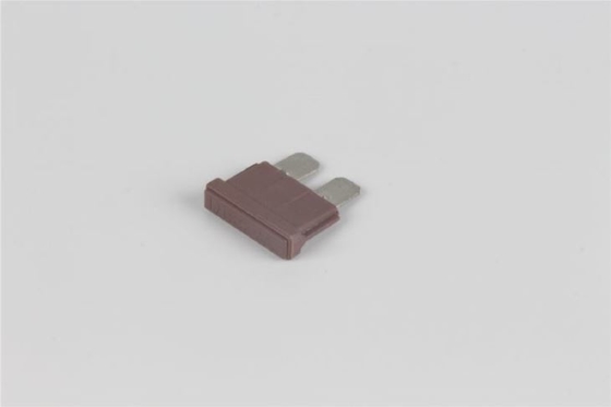80v 40 Ampèrestop in Zekering Snel Acterenpbt Materieel Laag Voltage