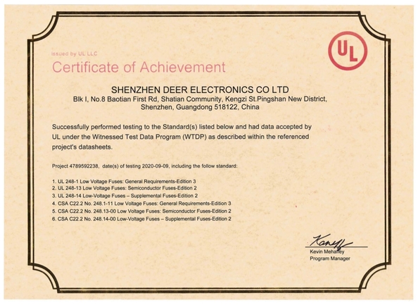 China Dissmann | Global Expert Fuse for EV | HEV | Photovoltaic | Battery | Energy Storage Solutions Certificaten