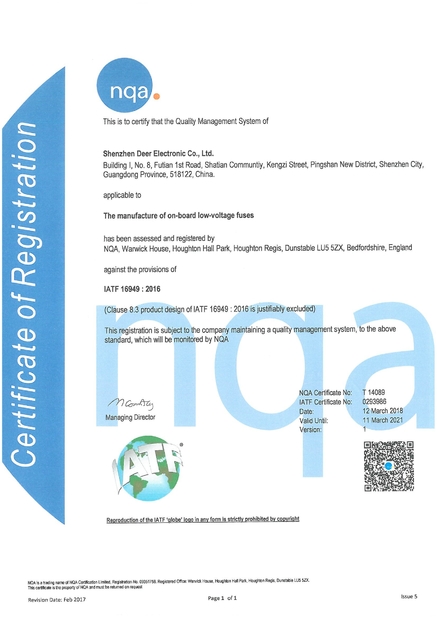 China Dissmann | Global Expert Fuse for EV | HEV | Photovoltaic | Battery | Energy Storage Solutions Certificaten