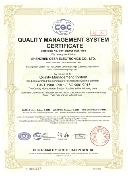 China Dissmann | Global Expert Fuse for EV | HEV | Photovoltaic | Battery | Energy Storage Solutions Certificaten